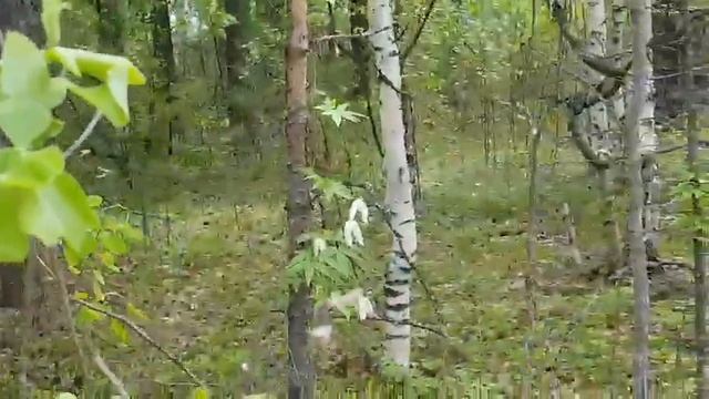 6 июня 2021 г. смотреть онлайн