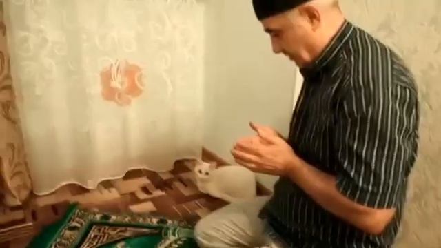 СОНЯ НА НАМАЗЕ смотреть онлайн