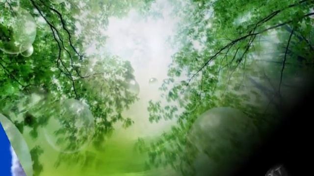 •°✿°•.♥.•°✿°• Melody of my heart. (Мелодия моего сердца)_1.VOB смотреть онлайн