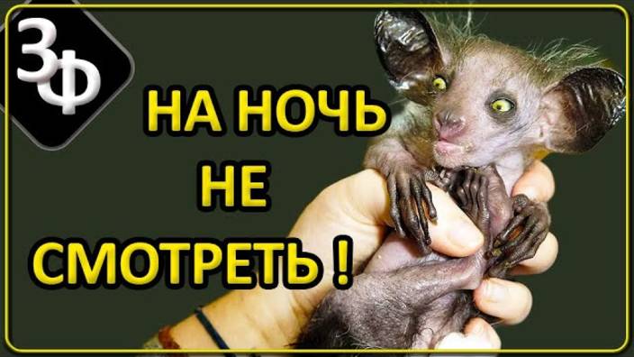 155 Сонный Паралич, Астральная проекция, Встречи с сущностями, Помощь смотреть онлайн