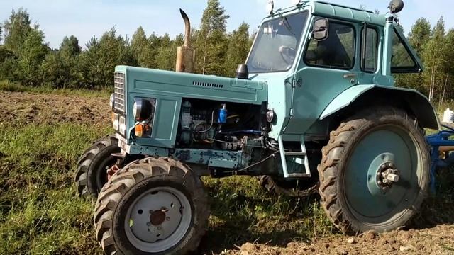 Копаем картофель мТз 82 и картофелекопалка Z-609 смотреть онлайн