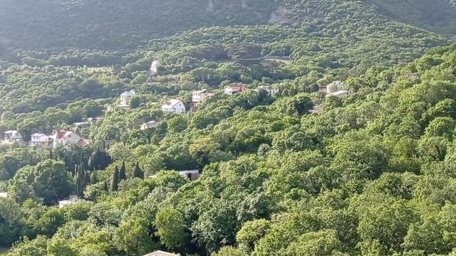 Крым Симеиз.Мак и Солнце 3 мая 2024 г. смотреть онлайн