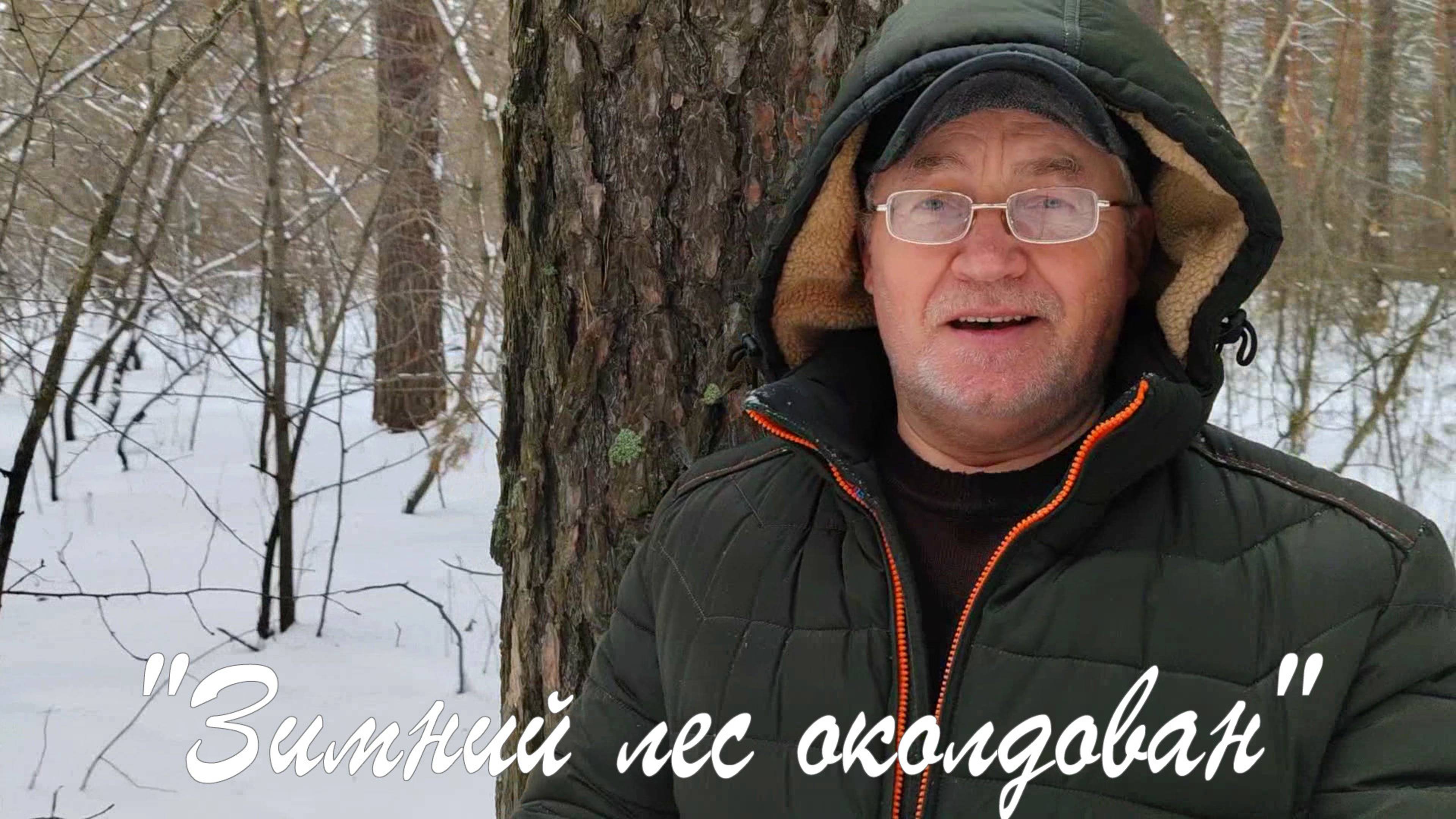 "Зимний лес околдован"