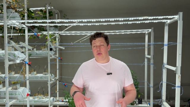 ЗАКРЫВАЕМ сити ферму смотреть онлайн