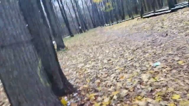 Новое начало🔥 Разнесли все тыквы на хеллоуин 💥🔥 смотреть онлайн