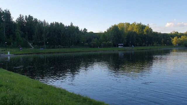 Новый день / Лена LIFE / Сделает ли Оксана правильные выводы?! / Обзор влогов