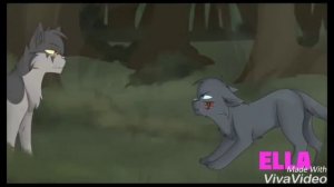 Клип Коты-Воители