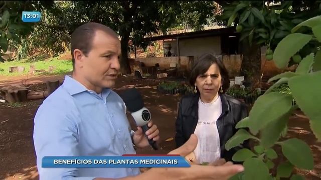 BG - Benefícios das plantas medicinais - 05-10-2017 смотреть онлайн