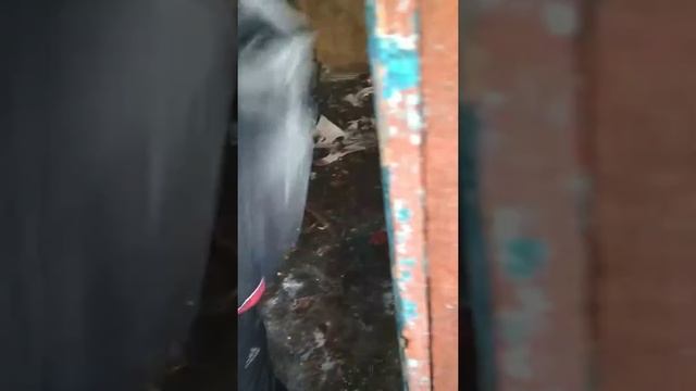 Гуп смотреть онлайн