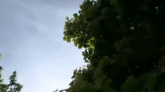 Кленова балада смотреть онлайн