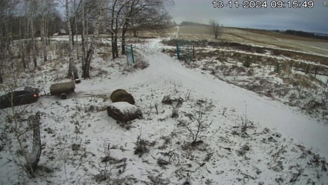 2024-11-13 Сено возвращается!!! - HD 720p