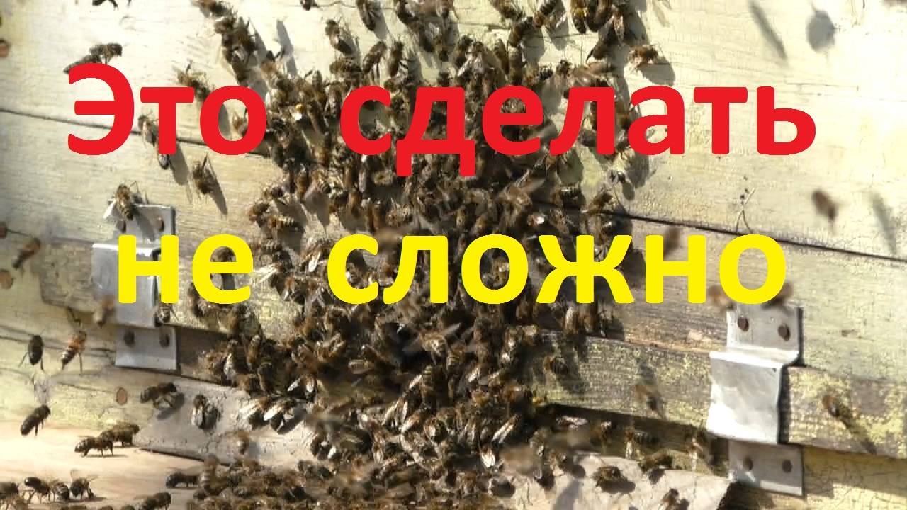 И пчелы весной будут интенсивно развиваться