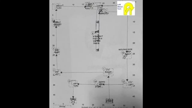 Linn County Kennel Club Rally Obedience Novice A 2-27-16 Erin & Dahlia смотреть онлайн