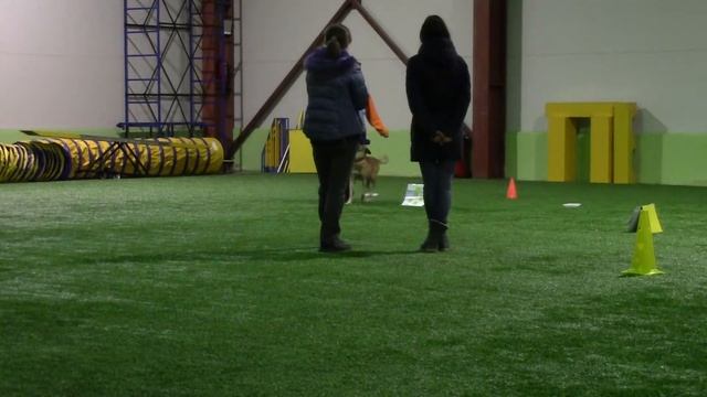 Малинуа Rod Serih Psov Vasabi Жданова Виктория ралли обиденс РО2 1 трасса 24.02.18 смотреть онлайн