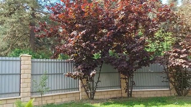 НЕМНОГО ПОГОВОРИМ ▶️ ВЕДЬМИНА ИЗБА. ИНГА ХОСРОЕВА смотреть онлайн