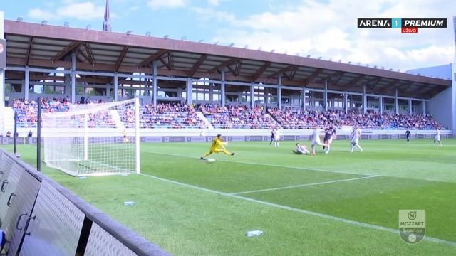 Mozzart Bet Super liga 2023/24 - 35.Kolo: TSC – ČUKARIČKI 2:0 (2:0) смотреть онлайн
