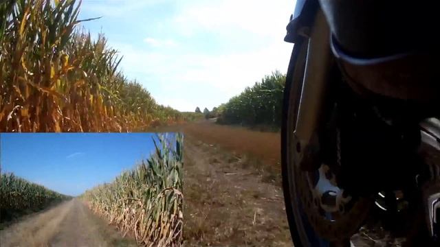 Pan European mal "off Road" смотреть онлайн