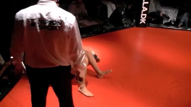 FIGHTERGALLA 18 ERIC CEBAREC SNAKE TEAM VS PETER KIRKEGAARD FIGHTGYM DK смотреть онлайн