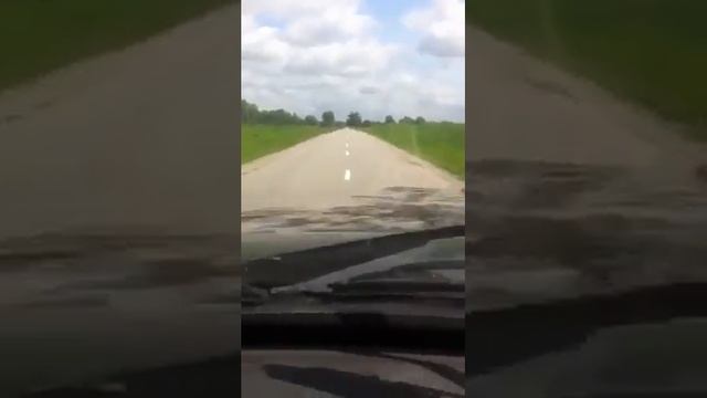 Смеялся с половины видео. Это жизнь... смотреть онлайн