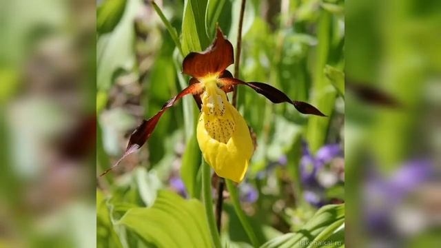 16 ноября 2020 г. смотреть онлайн