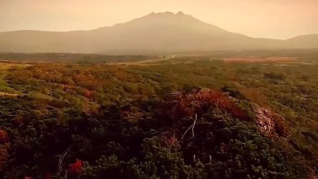Дядя Вова, мы с тобой 720p смотреть онлайн