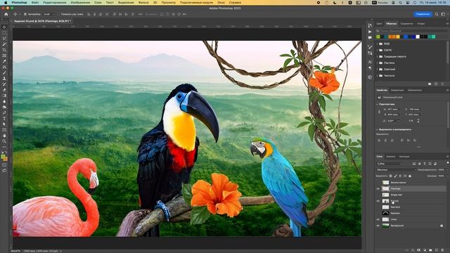 02-01_Работа со слоем Parrots смотреть онлайн