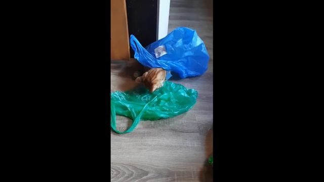 Сентябрь Дождь 2022 смотреть онлайн