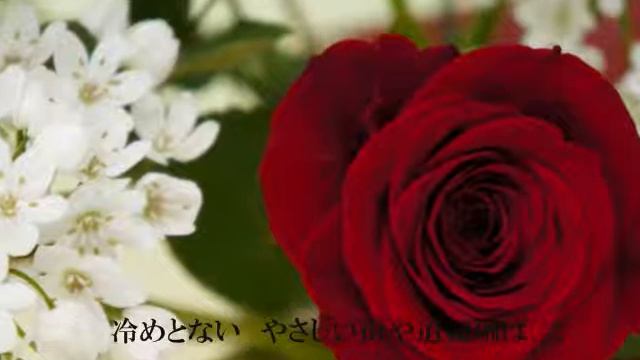 道頓堀人情 --Harmonica смотреть онлайн