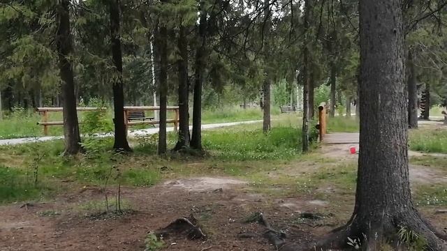 21.07.22. погода в г. Сосногорск смотреть онлайн