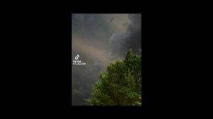 Реакция дам 13 карт на импровизацию