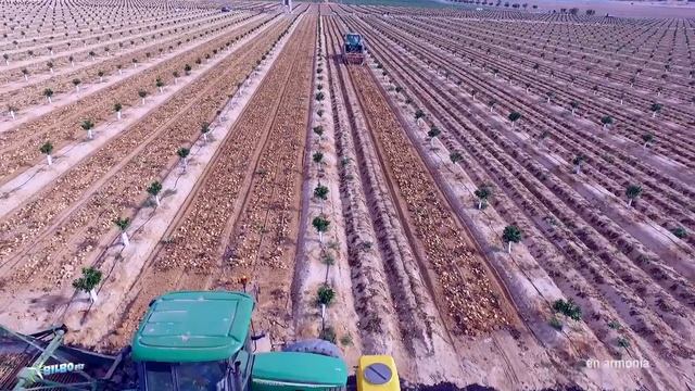 BILBOfly Agricultura de Precisión - Finca Las Palmeras (Alicante). смотреть онлайн
