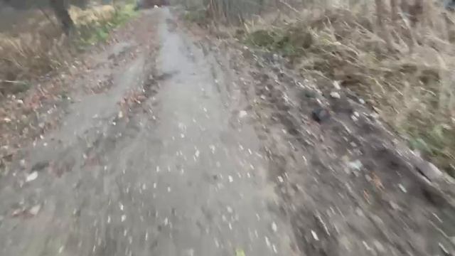 Дорога.
