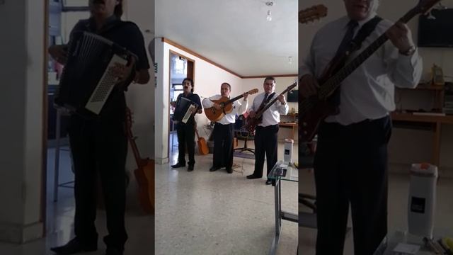 Hermoso cariño смотреть онлайн