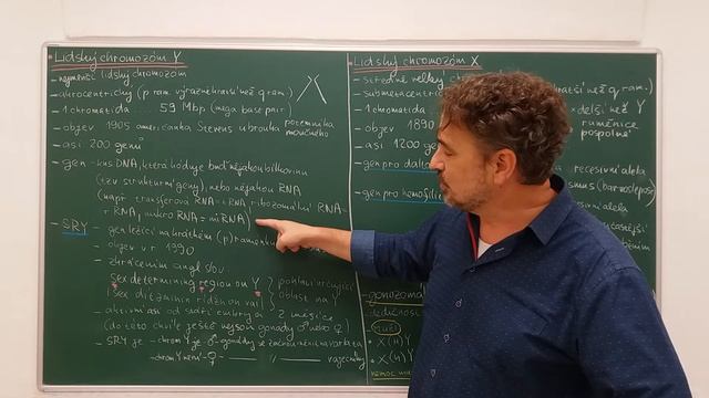 Pohlavní chromozómy 5 смотреть онлайн