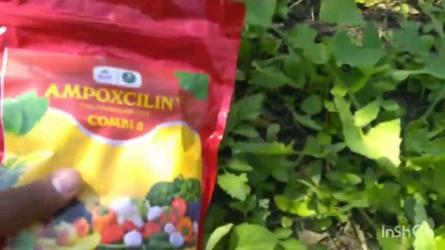 Micronutrient | Ampoxicilin Fully Chelated with EDTA | Potassium Nitrate (13:00:45) смотреть онлайн
