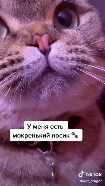Download - 2025-02-18T013421.066 смотреть онлайн