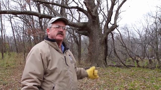 Organic Pecans | Missouri Northern Pecan Growers смотреть онлайн