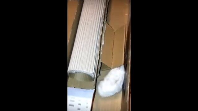 Самые популярные видео в like ! смотреть онлайн