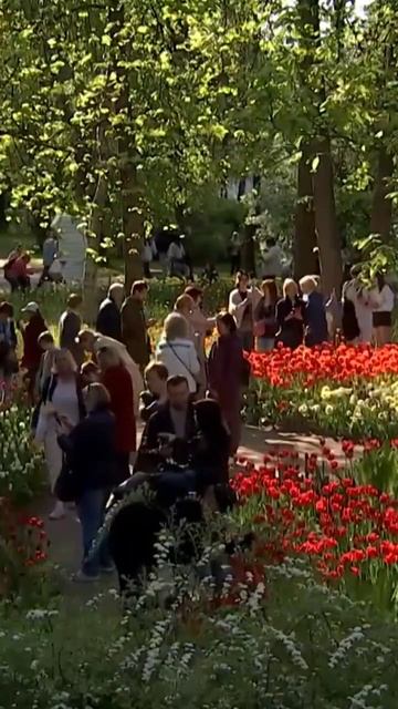 🌷🌹 MÉRITONS NOUS TANT DE BEAUTÉ ??🌹🌷 смотреть онлайн