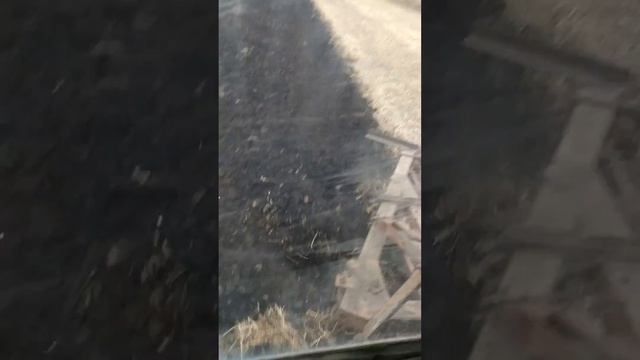 Оранка з турбіною трк6 МТЗ 82 смотреть онлайн