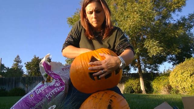 Pumpkin Carving and Planting смотреть онлайн
