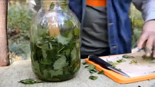 Таинственные напитки