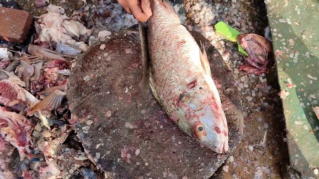 grill cutting ulri dhothar/ mulla fish karachi fishries смотреть онлайн