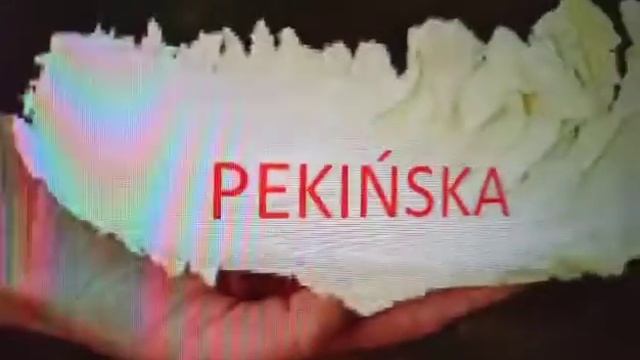 TOP 10 RODZAJE KAPUSTY O KTÓRYCH NIE MIAŁEŚ POJĘCIA *robią wrażenie* смотреть онлайн