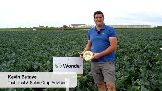 Syngenta vFOI Cauliflower Wonder смотреть онлайн