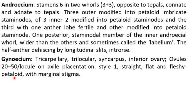 Cannaceae смотреть онлайн