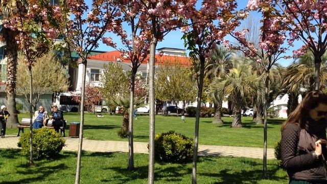 Сочи Черешневый сад SOCHI RUSSIA смотреть онлайн