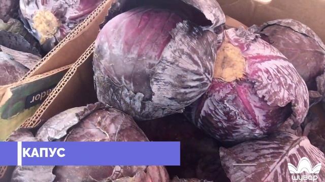 Асортимент капусти на "Шуварі" та ціни🥦🥦 смотреть онлайн