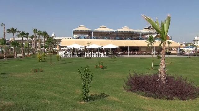 Magic Life Jacaranda  Side-Turquie