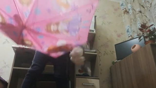 ☔🙀😻❤️😥😹🐈🥣👍 смотреть онлайн
